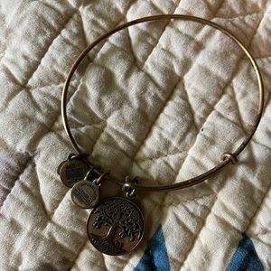 Alex and ani tree of life bronze